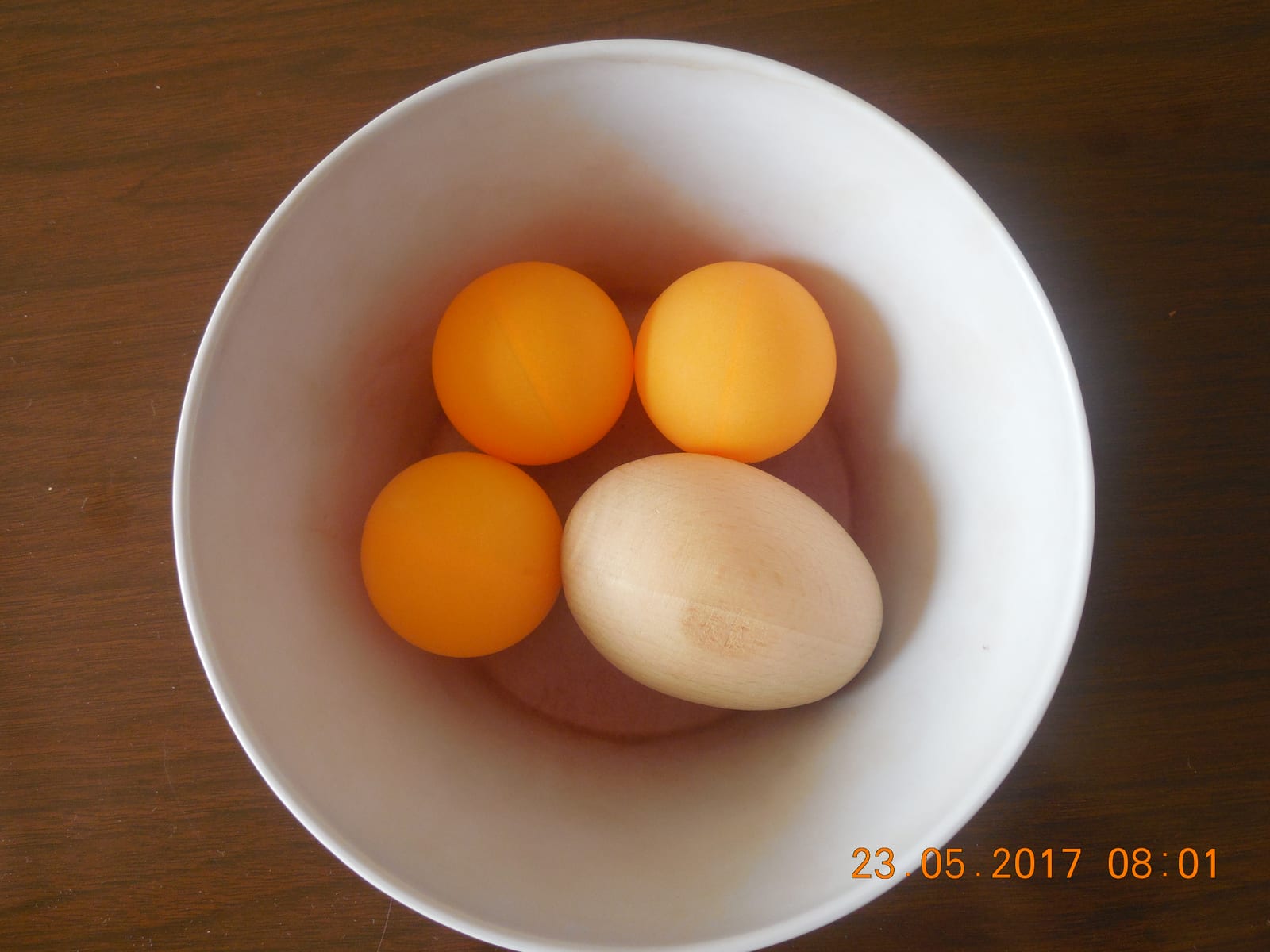 Kukavičje jaje 1